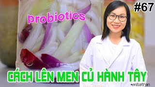 #67. Probiotics hành tây