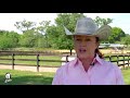 2 horse capital television extra rafacz reining