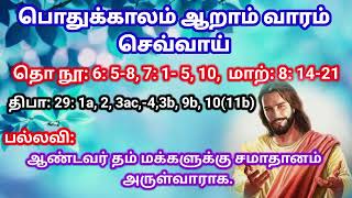 தீமை உங்களை வெல்லவிடாதீர்கள்|மறையுரை சிந்தனை|பொதுக்காலம் 6ஆம் வாரம்|Fr Bernand cpps