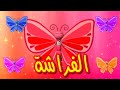 الفراشة - قناة بلبل BulBul TV