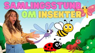 Lær gjennom lek i rolig samlingsstund om insekter. Norsk Barne - TV for småbarn.