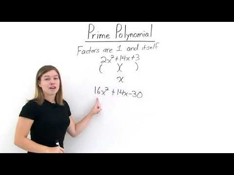 What does a prime polynomial look like?