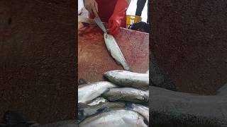 Butterfly filleting of trout for restaurants #fishcutting