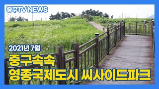 [인천중구TV뉴스] 중구 속속 - 영종국제도시 씨사이드파크