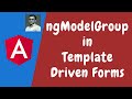 76. NgModelGroup - Grouping The Form Controls in Template Driven Forms using ngModelGroup in angular