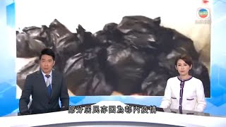 無綫香港新聞TVB News 葵涌邨逸葵樓及映葵樓垃圾堆積問題未解決 部分居民因邨內疫情工作受影響｜張舉能譴責試圖威嚇法官行為 鄭若驊指一國兩制回歸五十年後仍適用 -20220124