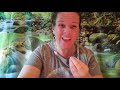 Mindful Morsels: Controlled Candle Breath