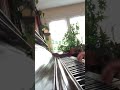 splashing around piano