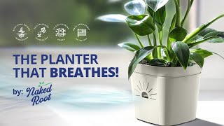 Now on Kickstarter: Naked Root Planter: When Roots Breathe, Plants Thrive