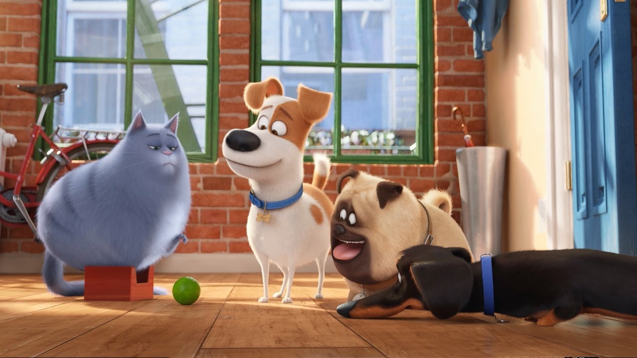 Some Shots From "the Secret Life Of Pets"... - YouTube