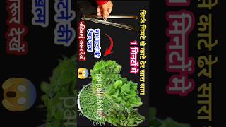 सिर्फ 1 चिमटे से काटे किलो किलो साग 1 मिनट में#kitchentips#sagcuttingmashin#cleaningtips#shortfeed