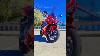 Honda CBR650R - Scenario