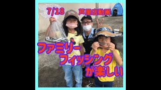 7/18動画　豆アジ、イワシ、ママカリ、カマス、セイゴ、ガシラ、ハゼ釣れています　フィッシングマックス芦屋店