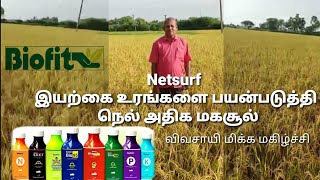 #wellnessclub #Netsurf #இயற்கை உரங்களை பயன்படுத்தி நெல் சாகுபடி அதிக மகசூல்