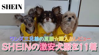 【SHEIN】激安なのに可愛い❤正直レビュー！犬の夏服を11着購入！サイズ参考にしてください 第18話