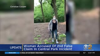 Amy Cooper, Woman In Viral Central Park Confrontation, Appears In Court For Arraignment