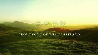 草原情歌／Love Song Of The Grassland  二胡•楊雪 Yang Yuki