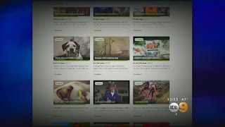 Donors Beware! More Scammers Are Targeting Crowdfunding Sites