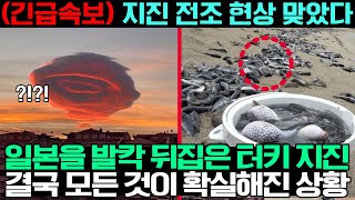 (긴급 속보) 지진 전조 현상 맞았다. 일본을 발칵 뒤집은 터키 지진, 결국 모든 것이 확실해진 상황