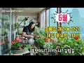 @좋을씨고 #Pelargonium #6월제라늄집중관리!  7.8월 오기전에 지금 점검해 보세요.