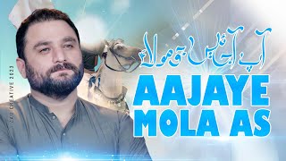 Aap Ajayen Jo Mola as | Shahid Baltistani New Status Imam Mehdi ajf  | Mola Mahdi Status