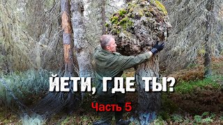 ЙЕТИ, ГДЕ ТЫ? Часть 5.