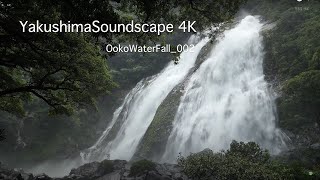 【屋久島の音と自然風景】大雨の大川の滝｜作業用・勉強用｜YSS 4K ｜002