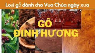 GỖ ĐINH HƯƠNG- Tứ thiết gỗ / Gỗ tốt Nhà đẹp - AKIRA AN PHÚ chuyên thiết kế thi công nhà gỗ đẹp