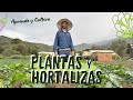 APRENDE Y CULTIVA PLANTAS Y HORTALIZAS POR EXPERTOS EN COLOMBIA