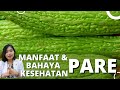 MANFAAT & BAHAYA PARE SERTA CARA MASAK PARE UNTUK KESEHATAN | dr.Emasuperr