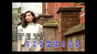 刘文正 原声原唱KV16 三月里的小雨.flv