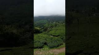 cool place in ooty kateri