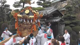 平成28年　小田原鴨宮＜賀茂神社＞例大祭　神輿町内渡御