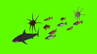 Fish Swimming Green Screen Animation | Fish 3D Green Screen Effects No Copyright