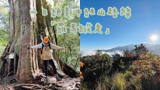 羅馬縱走｜絕美天空森林｜羅葉尾山+馬武佐野郡山｜⛰️vlog.