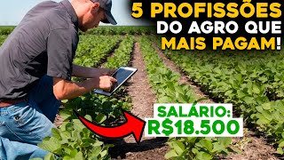 AS 5 PROFISSÕES DO AGRO COM MELHORES SALÁRIOS PARA INICIAR