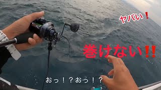 豊後水道タチウオテンヤ初級編