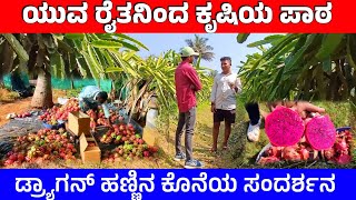 ಇಂಜಿನಿಯರಿಂಗ್ ಹುಡುಗನ ಕೃಷಿ ಜ್ಞಾನ ಕೇಳಿ | Dragon fruit  farming videos | Pradeep HVK | #kannada | PHVK