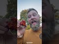 bacon wrapped salmon bites recipe over the fire cooking by derek wolf