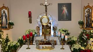 LIVE Eucharistic Adoration - Sisters of Divine Mercy