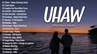 🎸 Dilaw - Uhaw 😍 - OPM Trend Songs - New OPM Love Songs 2023