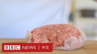 大麥也能長出肉？冰島公司發明環保食肉新方式－ BBC News 中文