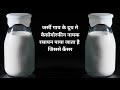 जर्सी गाय की सच्चाई jersey cow jarsi gay jersey gay hf cow a1 milk