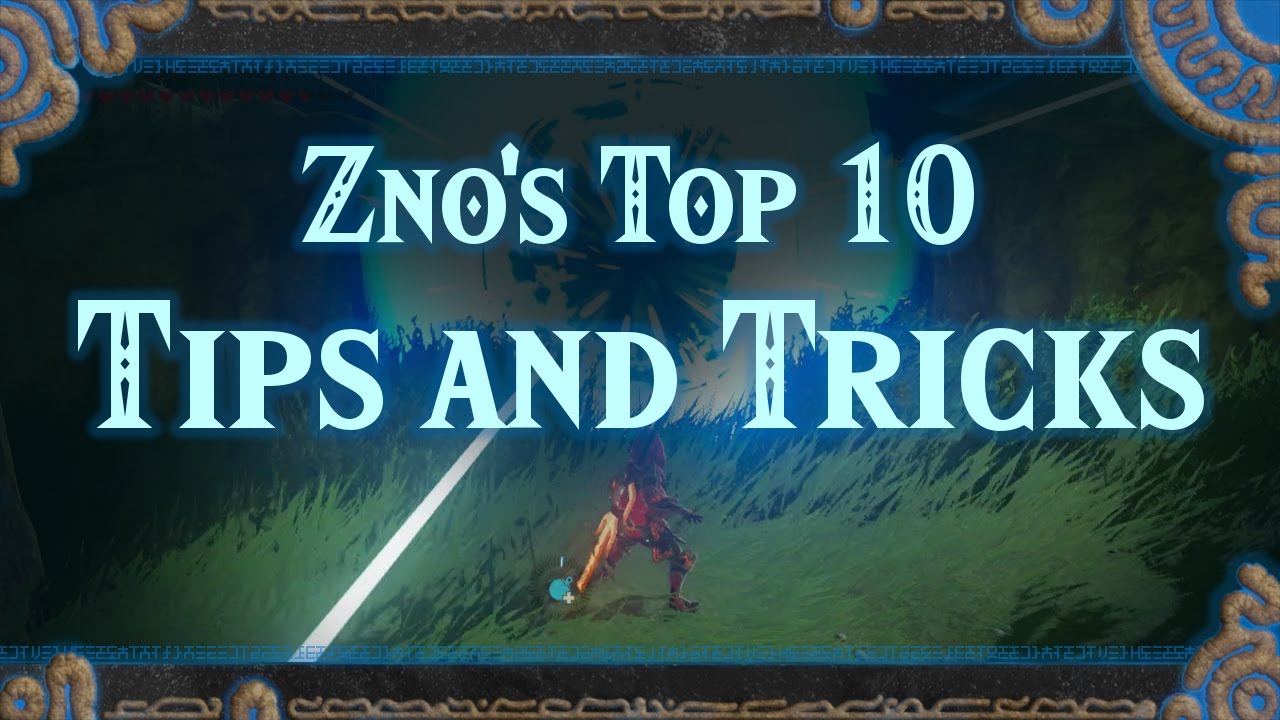 Zelda Breath Of The Wild Tips Vicafu