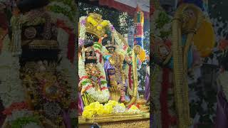 Sri Parthasarathy perumal in big St witnessing  _nerkadhiraruvadai #triplicane