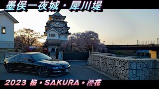 【桜・SAKURA】墨俣一夜城・犀川堤