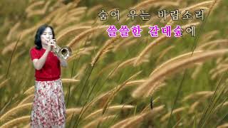 숨어우는 바람소리/김 정희트럼펫