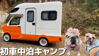 【車中泊キャンプ】森の中でキャンピングカーでのキャンプが最高すぎた【犬好き必見】