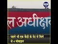 jodhpur central jail गुप्तांग में हीटर की स्प्रिंग छिपाकर ले जा रहा था कैदी वनइंडिया हिंदी