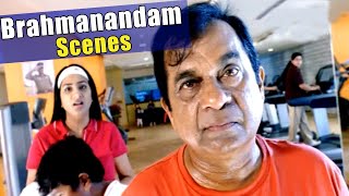 Brahmanandam 2020 New Best Comedy Scenes South Indian Tamil Dubbed Best Comedy Scenes,